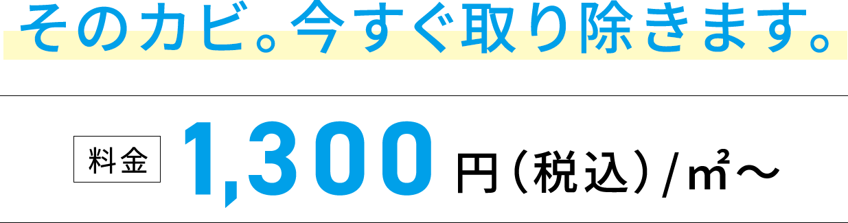 そのカビ。今すぐ取り除きます。料金1,300円(税込)/㎡〜