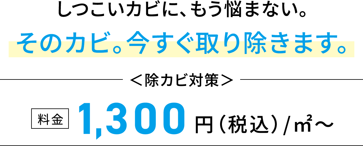 しつこいカビに、もう悩まない。そのカビ。今すぐ取り除きます。料金1,300円(税込)/㎡〜