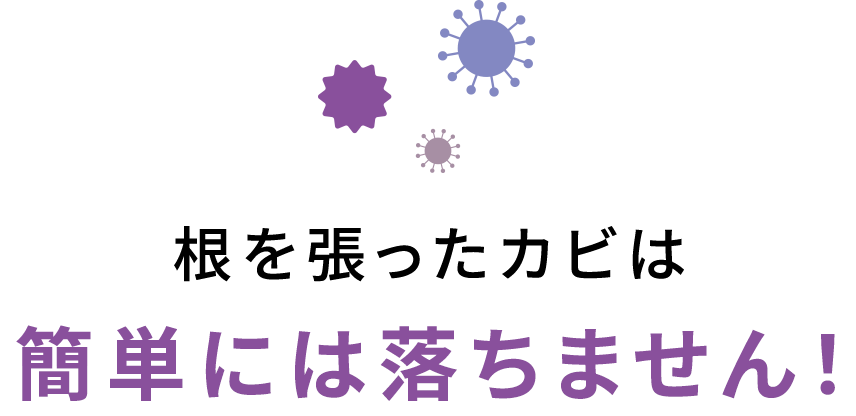 根を張ったカビは簡単には落ちません！